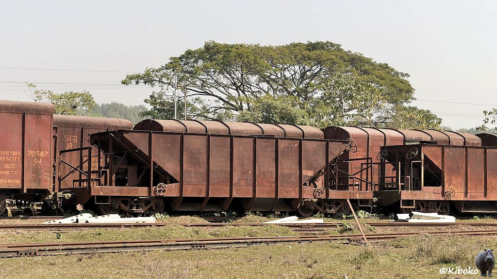 Das Bild zeigt braunen vierachsigen Wagen für Schüttgut. Der Wagen hat einen offenen Aufbau mit einer Trichterform zur Wagnmitte. Unter dem Wagen sind Schütten um Schotter neben und zwischen den Gleisen zu verteilen. Die Anschriften des Wagens sind nicht erkennbar.