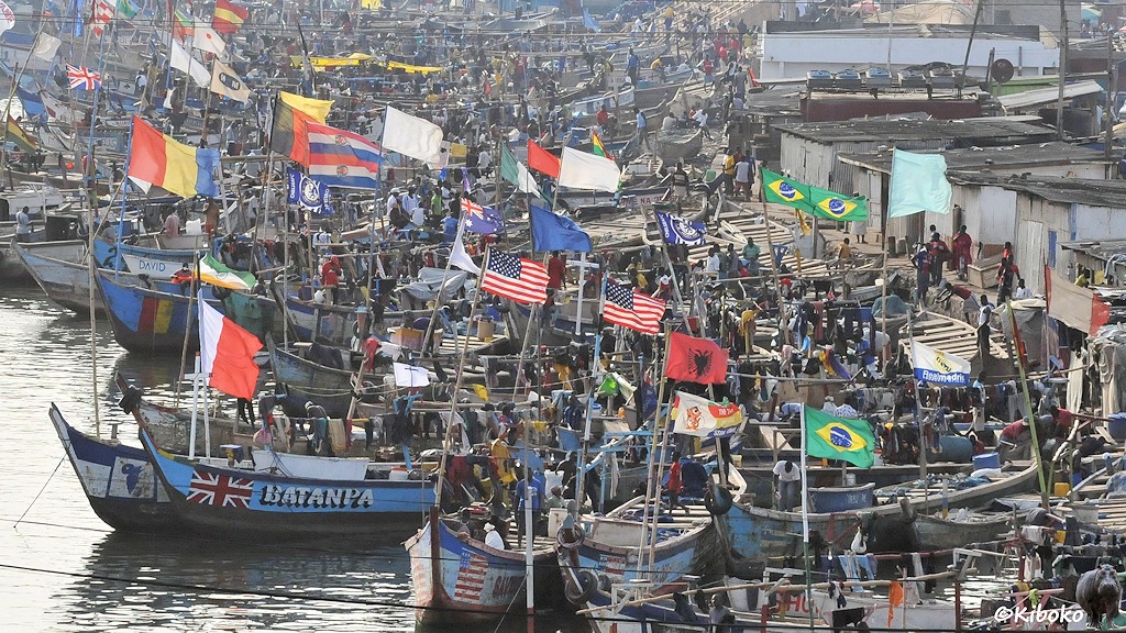 Hunderte Pirogen liegen dichtgedrängt im Hafen. Nationalfahnen von Brasilien, USA, Albanien, Kroatien, Australien und andere schmücken die Boote.