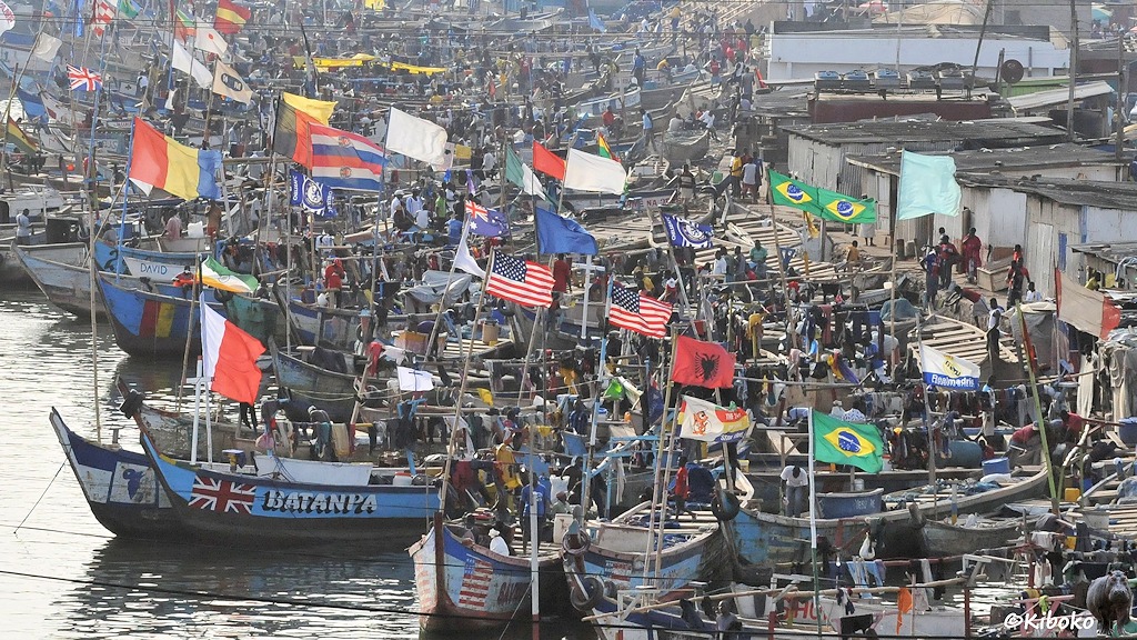 Hunderte Pirogen liegen dichtgedrängt im Hafen. Nationalfahnen von Brasilien, USA, Albanien, Kroatien, Australien und andere schmücken die Boote.