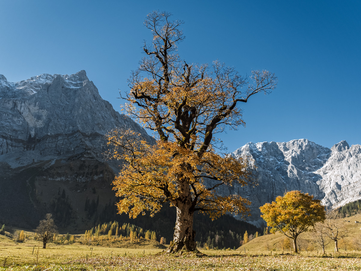 20171016-P1080618_DxO-Bearbeitet-2.jpg