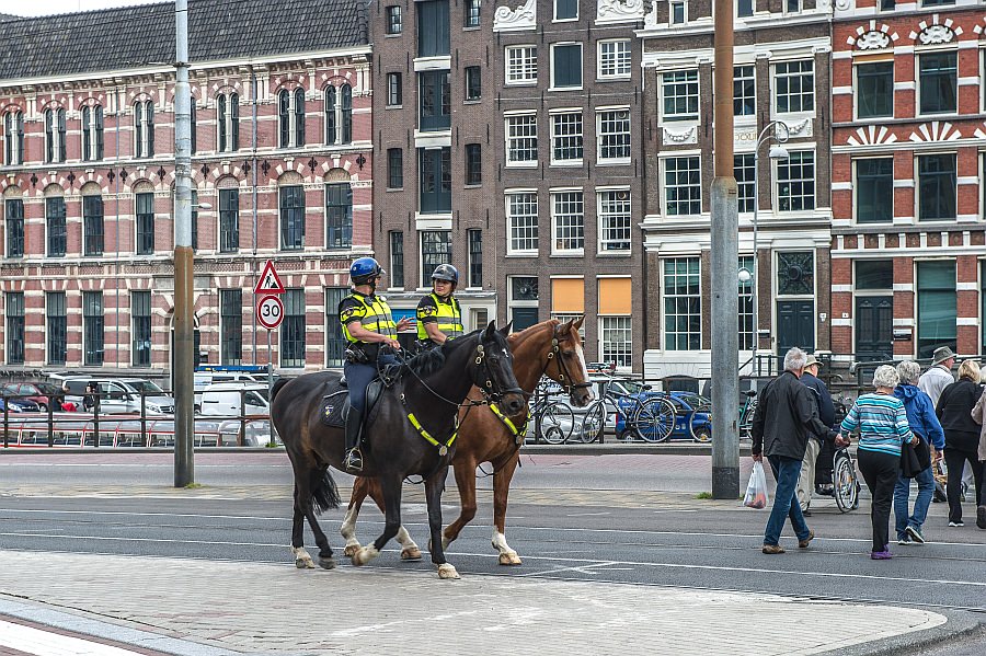 amsterdam16_61.jpg