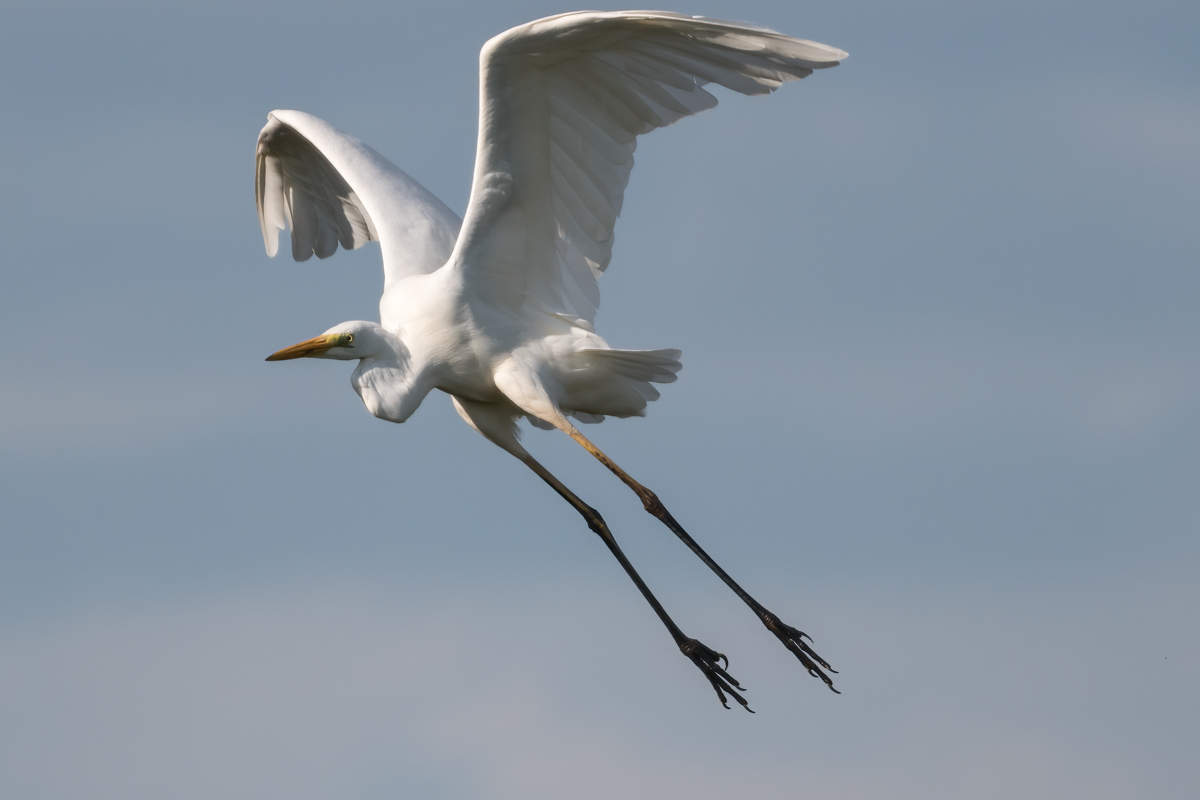 full