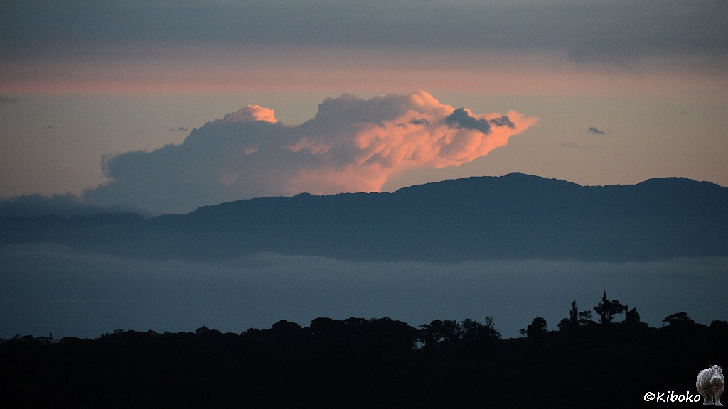 Das Bild zeigt eine Landschaftsaufnahme am frühen Morgen. Die bewaldete Hügelkette im Vordergrund ist schwarz. Im Tal dahinter hängt ein zarter Wolkenschleier. Dahinter ist ein hoher Bergrücken. Hinter diesen Bergrücken steigt eine große Wolke auf, die von unten-rechts rosarot angestrahlt wird.