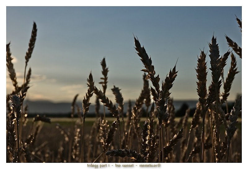 s_DSC_0008_lzn.jpg
