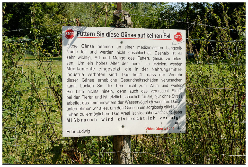 Schilder%20Gaensegehege%20001.jpg