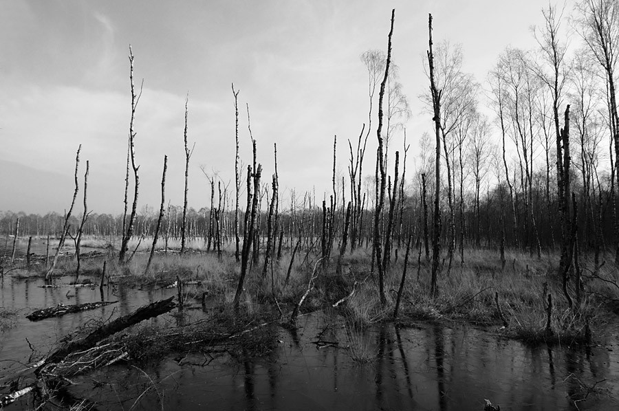 3265%20himmelmoorsee-bearb.jpg