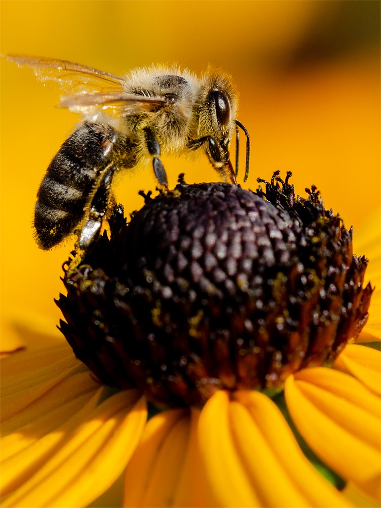 full