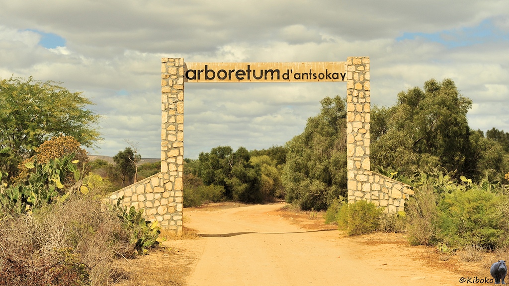 Das Bild zeigt ein tor aus gemauerten Pfosten die mit einem Schild verbunden sind. Darauf steht: arboreum d'ansokay. Ein Schotterweg führt durch. Dahinter sind Bäume am Weg. 