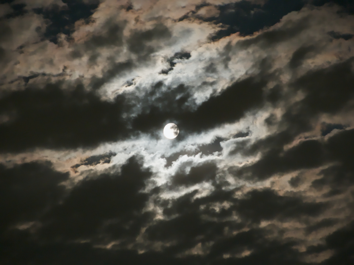 DSCN4495.jpg