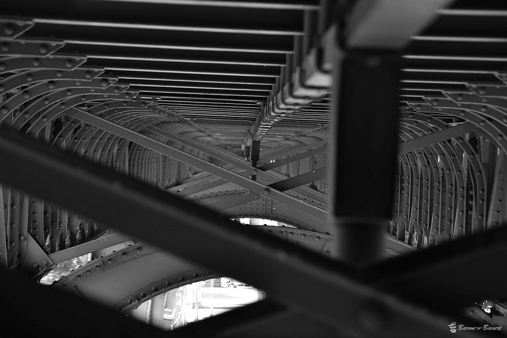 18028474413_3e989cea34_b.jpg