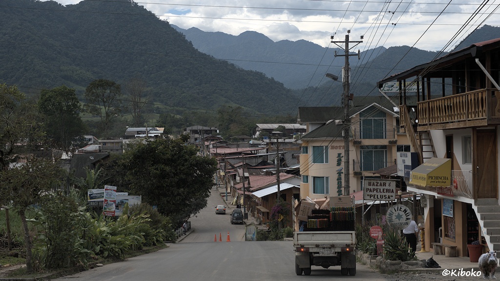 Das Bild zeigt eine bergabführende Straße in eine Ortschaft. Links stehen zwei- und dreistöckige Häuser mit Balkonen und offener Außentreppe. Strommasten stehen am rechten Straßenrand. Im Hintergrund sind hohe, bewaldete Berge.