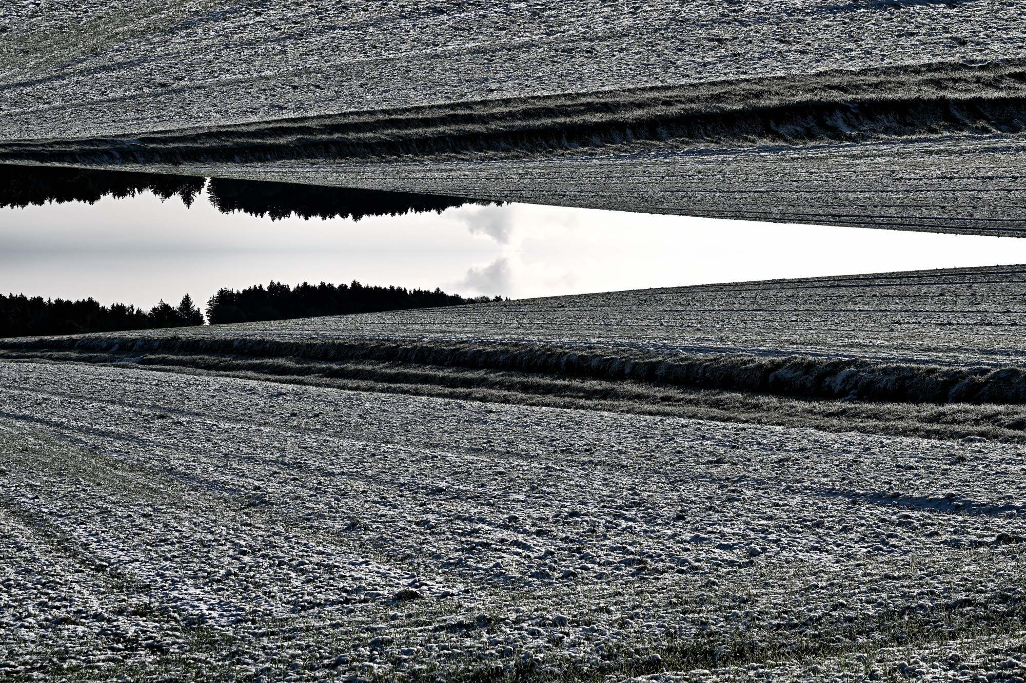 NZ8_1055-006.JPG