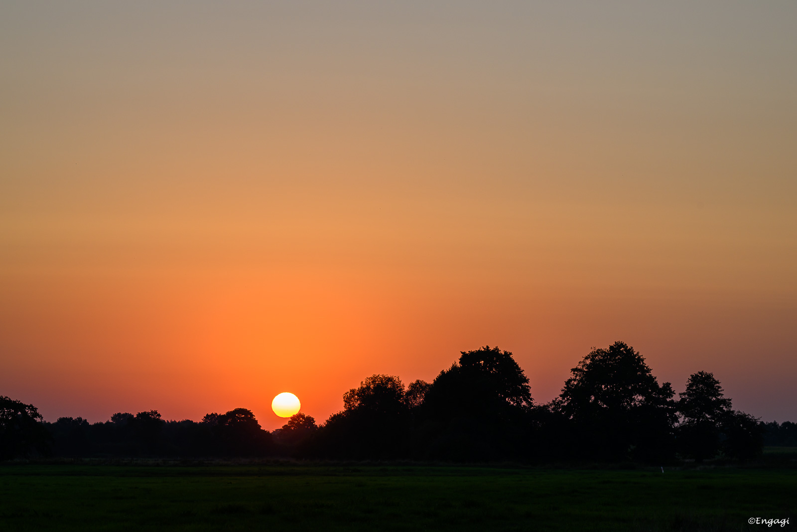 DSC_0516.jpg