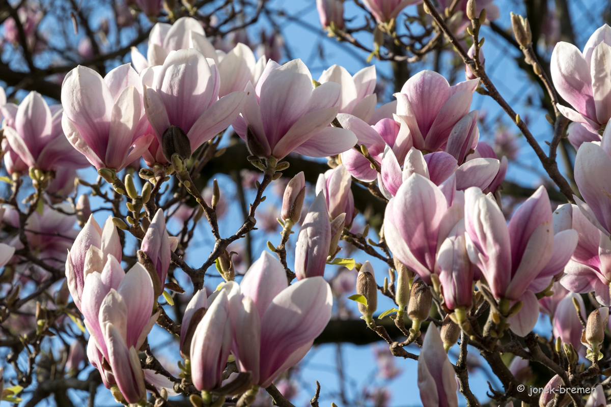 full