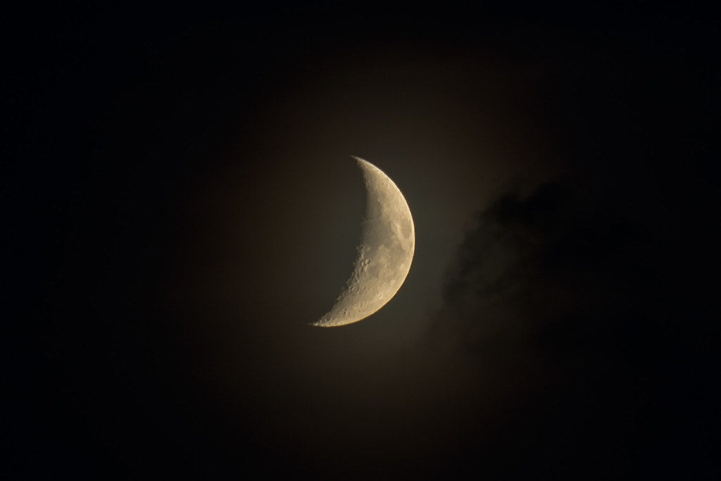 20747509762_0d3d234a67_b.jpg