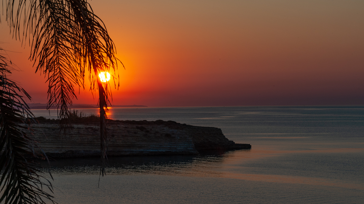 DSC_4950.jpg