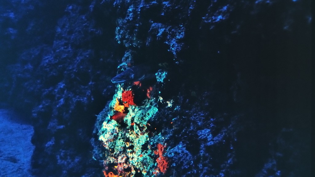 26987960029_80e6815cbe_b.jpg