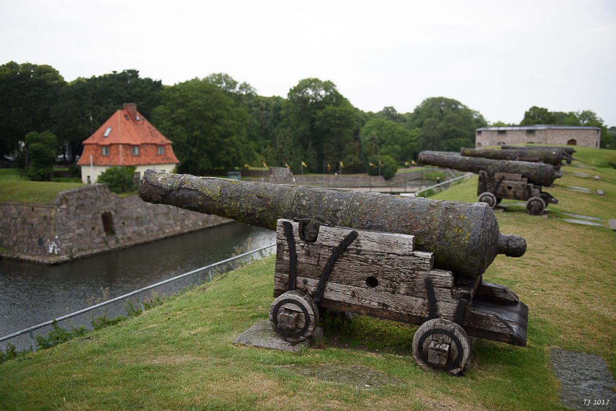 DSC_7704.jpg