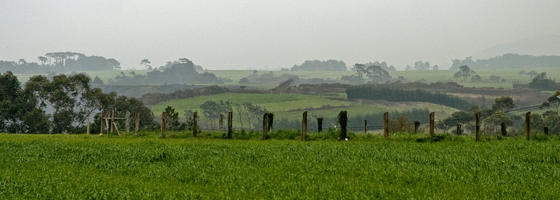 11209148xr.jpg