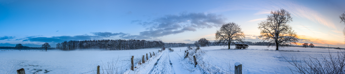 DSC_5390-Bearbeitet.jpg