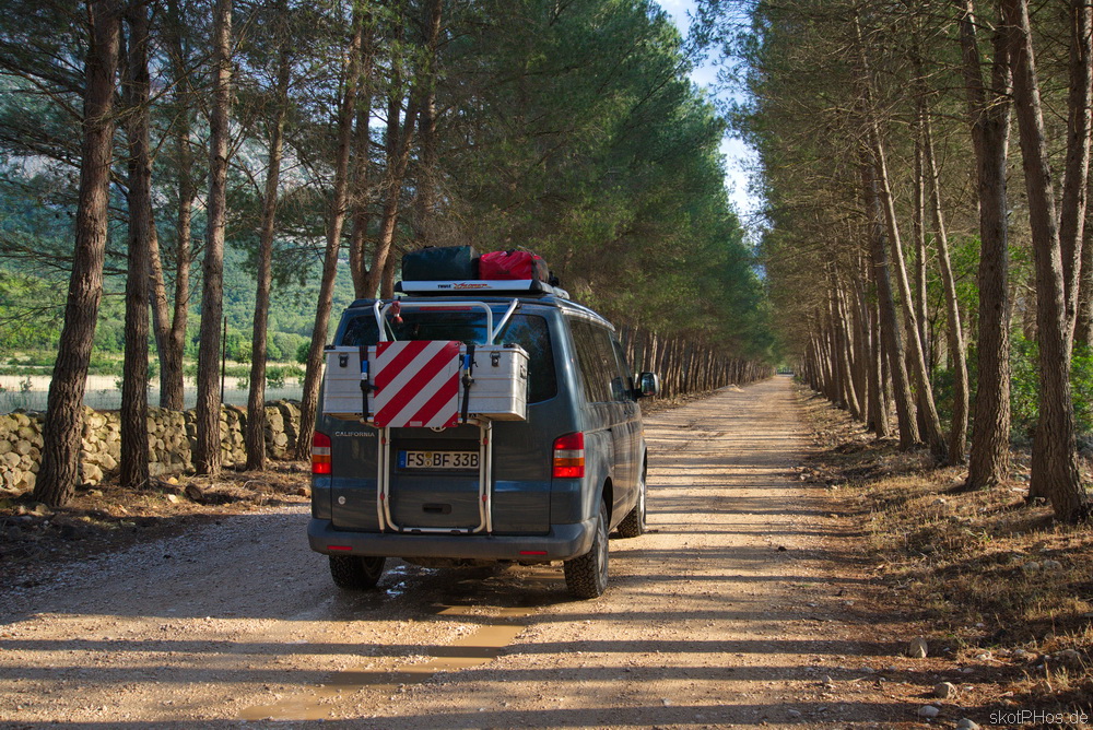 skotPHos.de_Sardinien2015_016.JPG