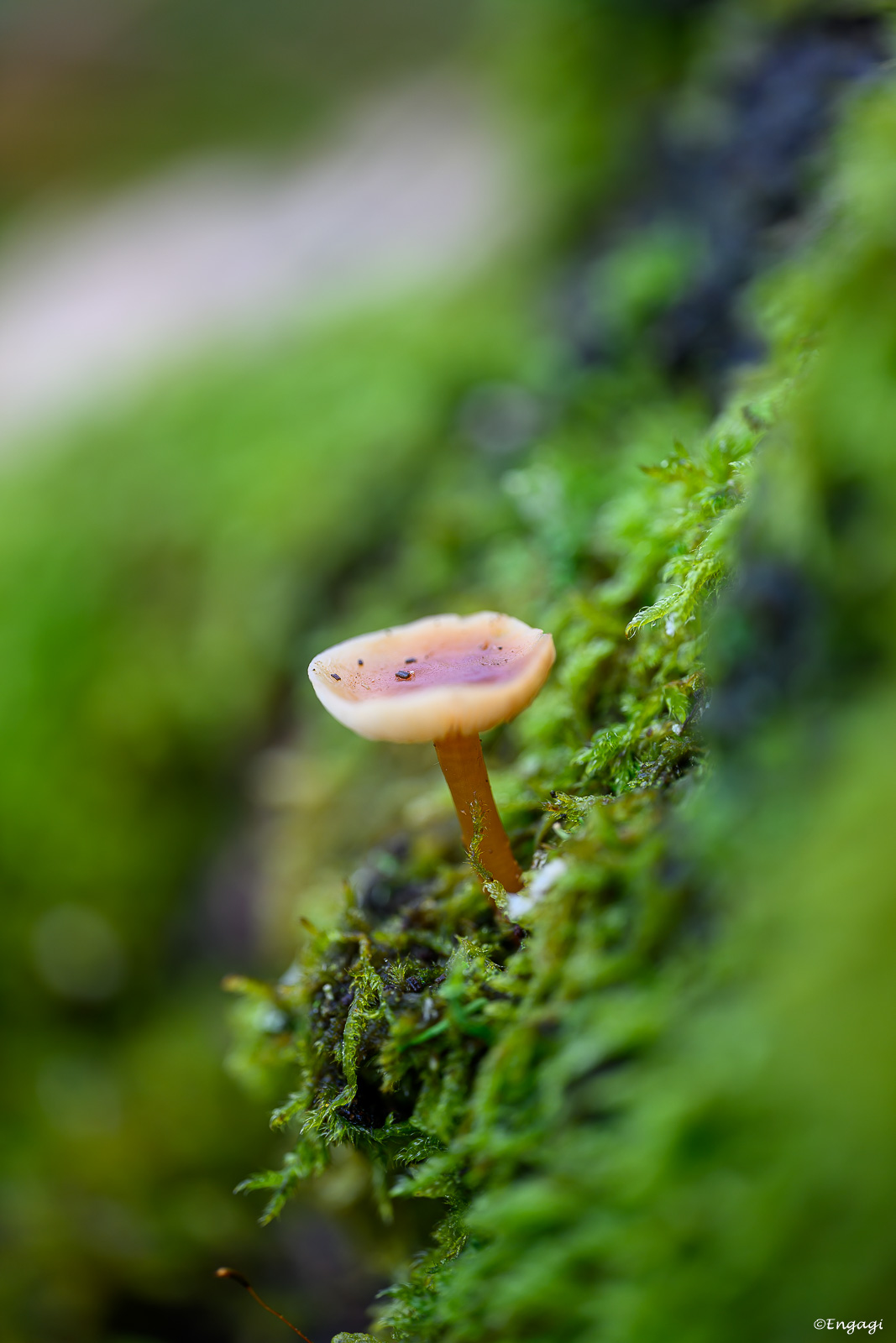 DSC_1406.jpg