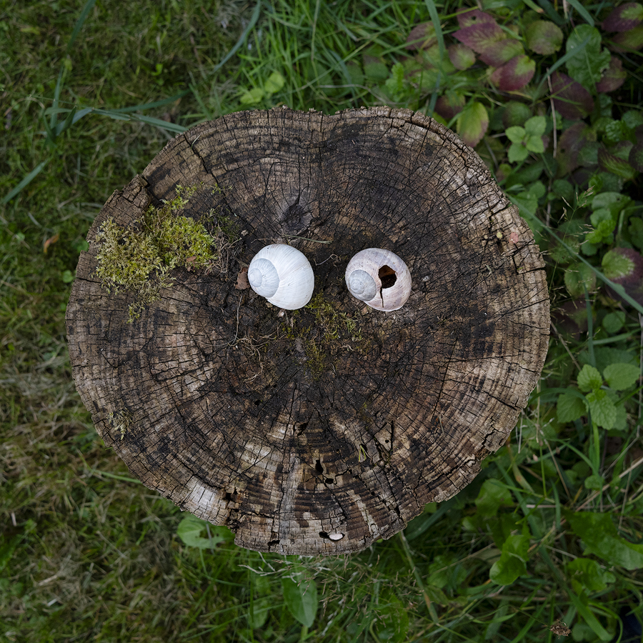 Augen-rechts.jpg