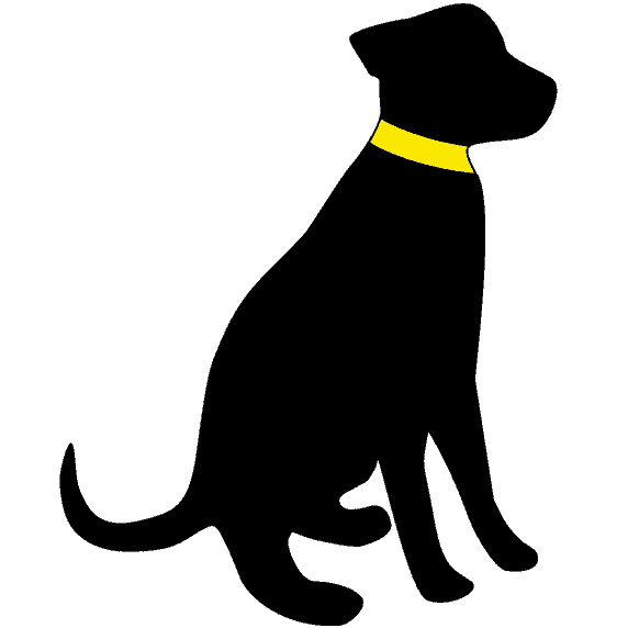 www.diehundezeitung.com
