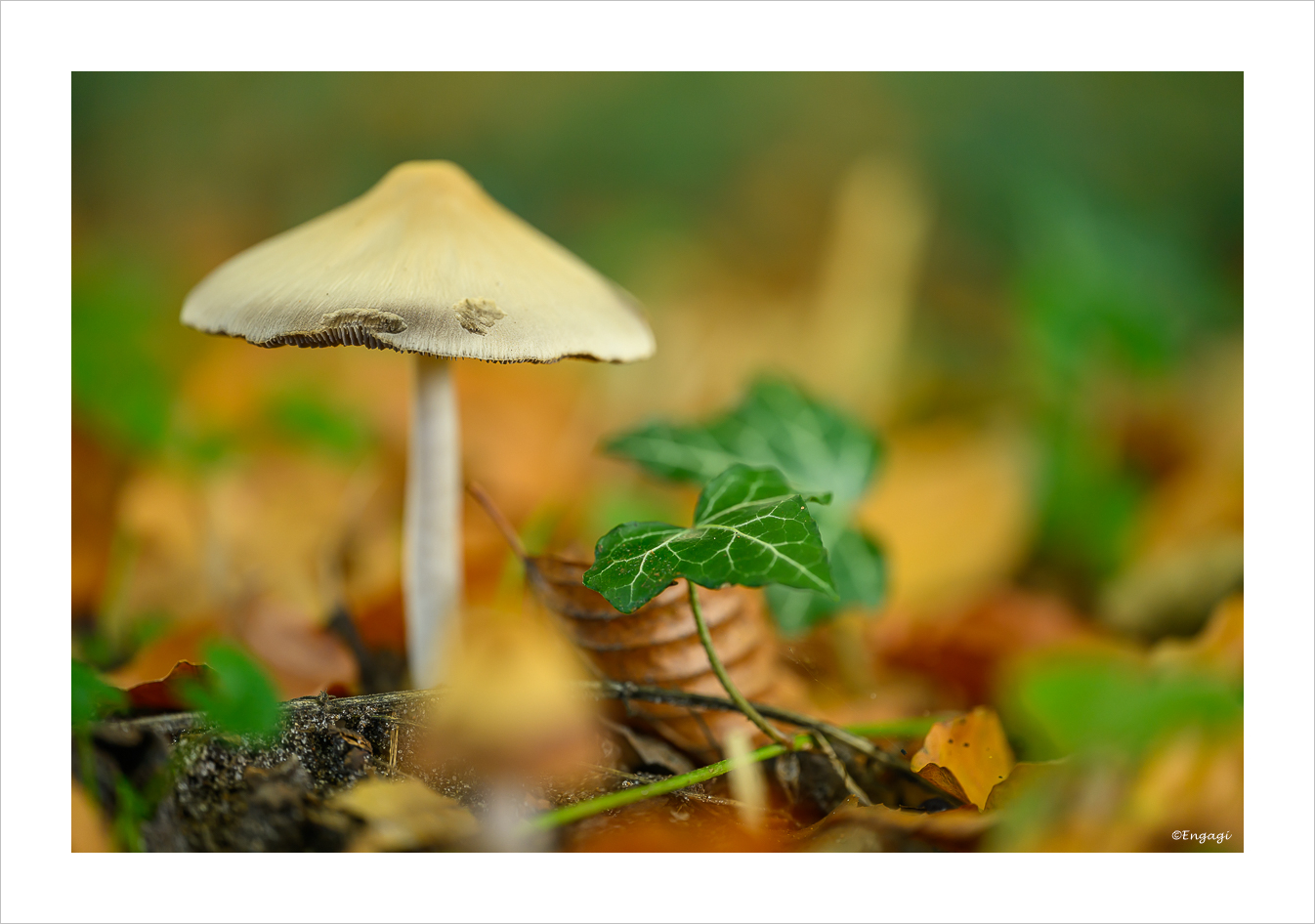 DSC_9367.jpg