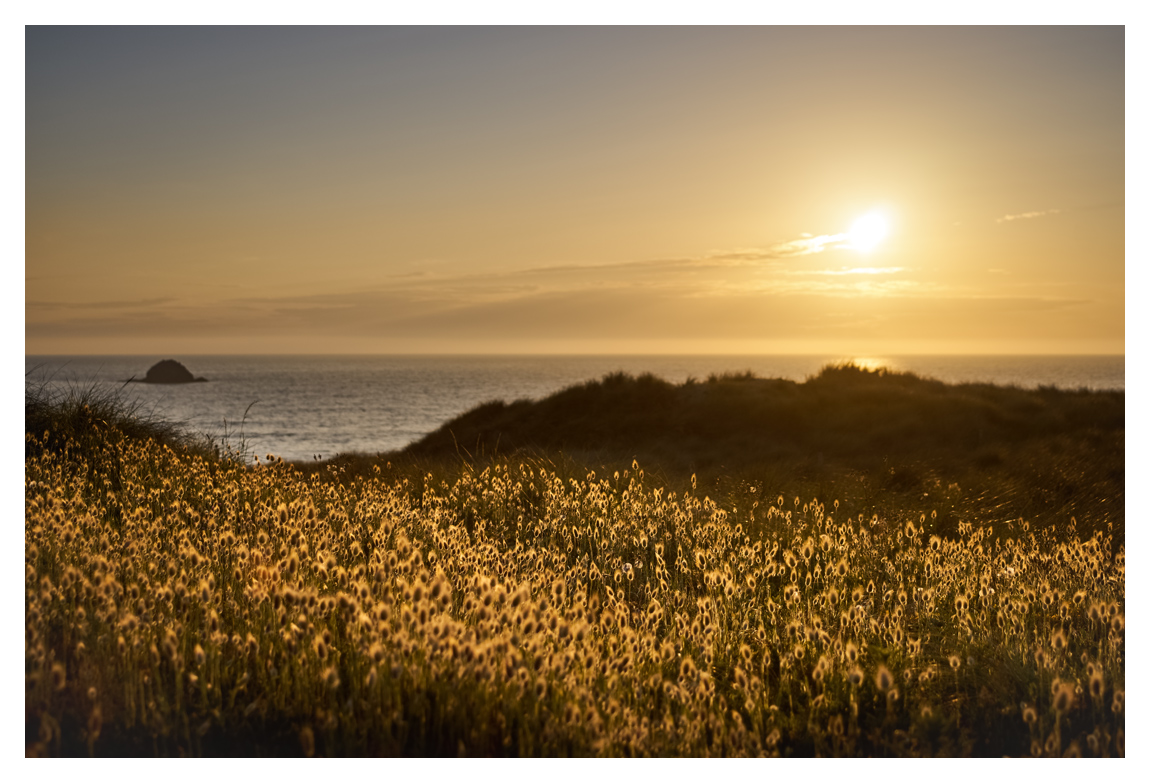 bretagne-09136.jpg