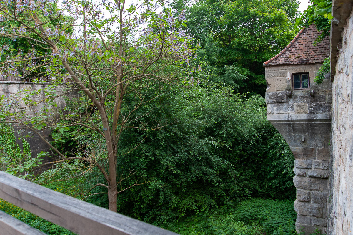 DSD_1300.jpg