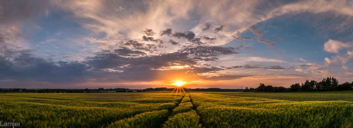 XT-20_431.jpg