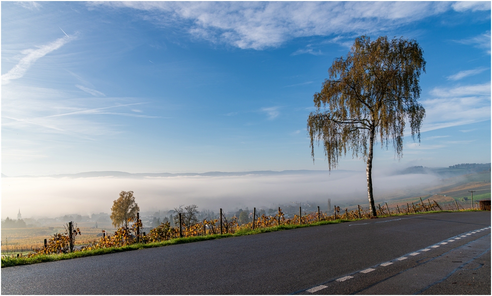 full