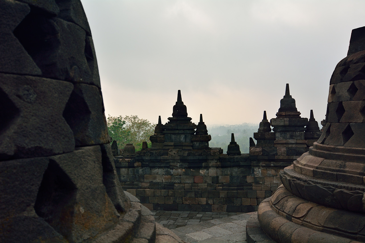 _DSC5815_web.jpg