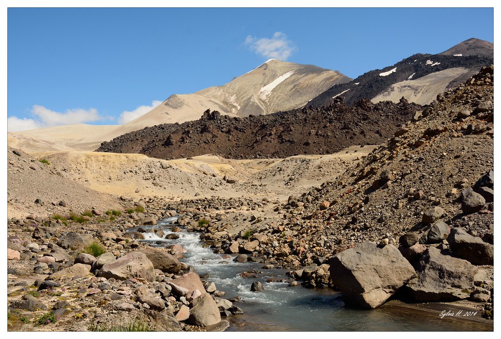 15013428355_88b0401b9b_b.jpg