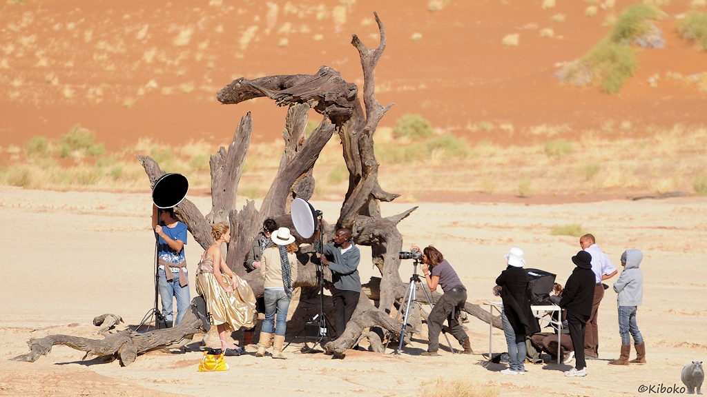 Ein Fototeam aus 11 Personen steht an einem abgestorbenen Kameldornbaum.