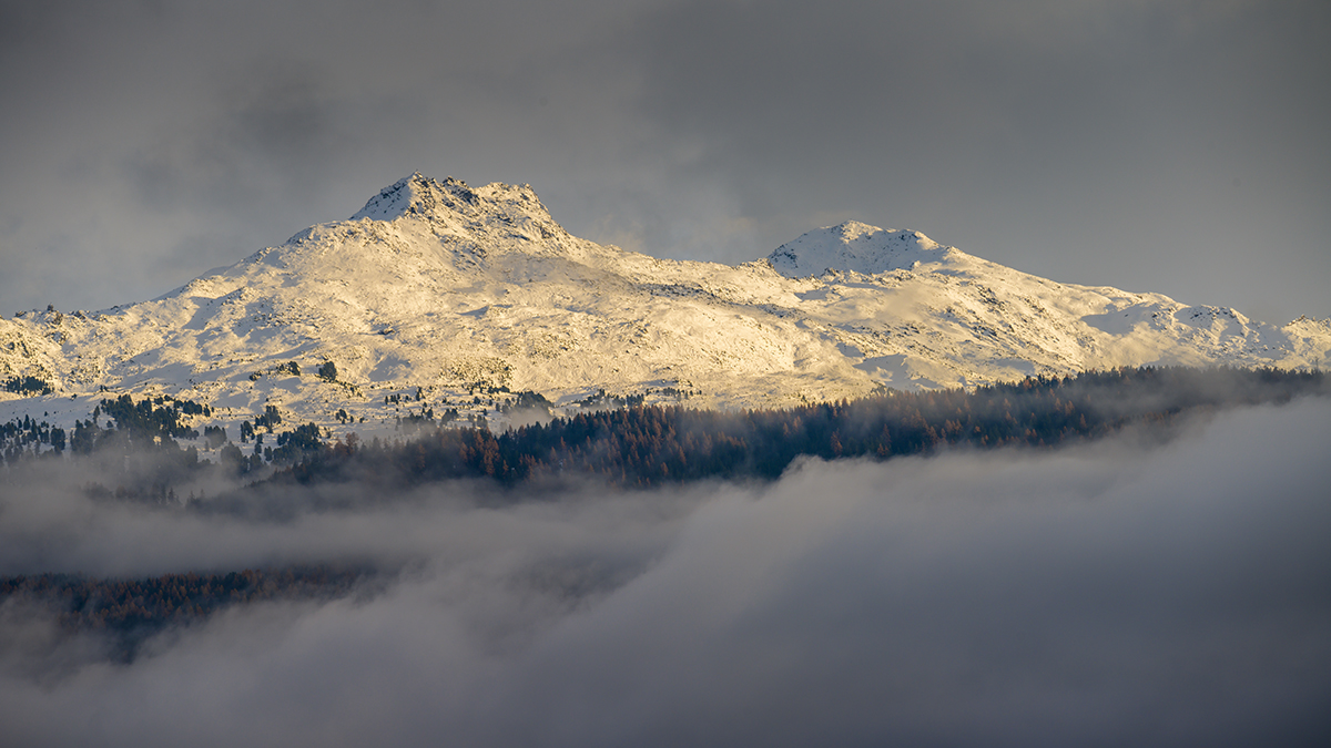 20211114_NZ7_1437wNF.jpg