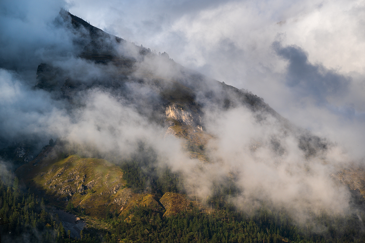 20210929_NZ6_8137NF.jpg