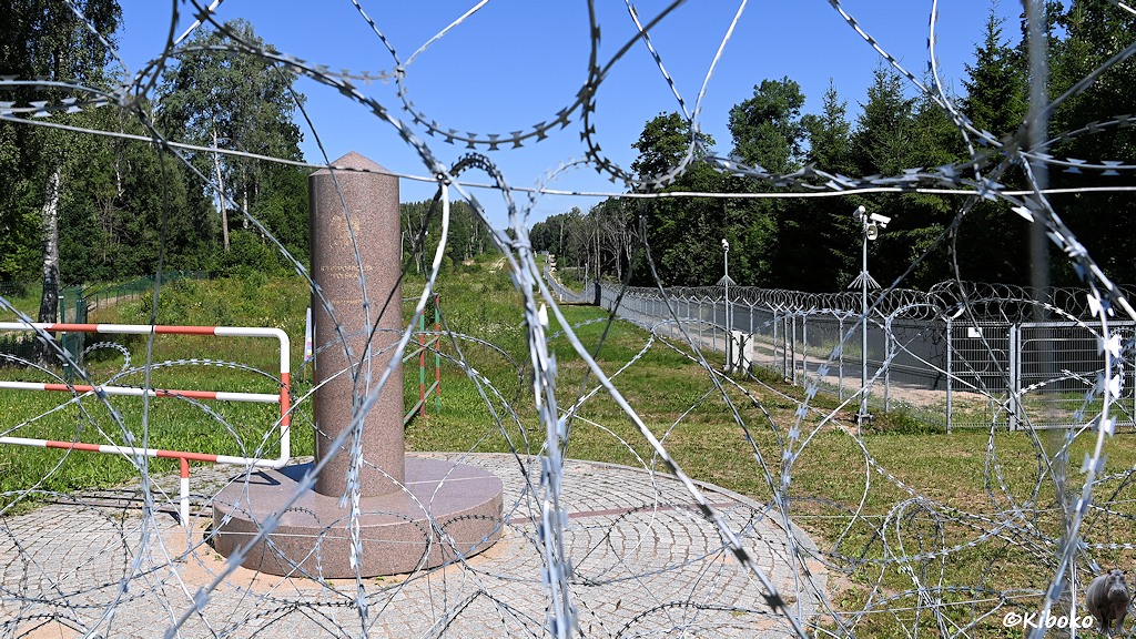 Das Bild zeigt eine Säule aus rotem Granit auf einem gepflästerten Kreis. Die Säule ist mit Zäunen und Stacheldraht umgeben. In den Hintergrund fürht ein Zaun entlang einer Waldschneise.