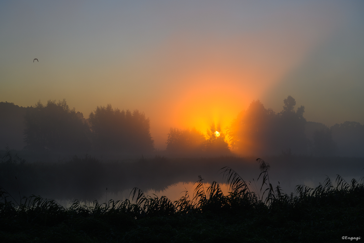 DSC_2696.jpg