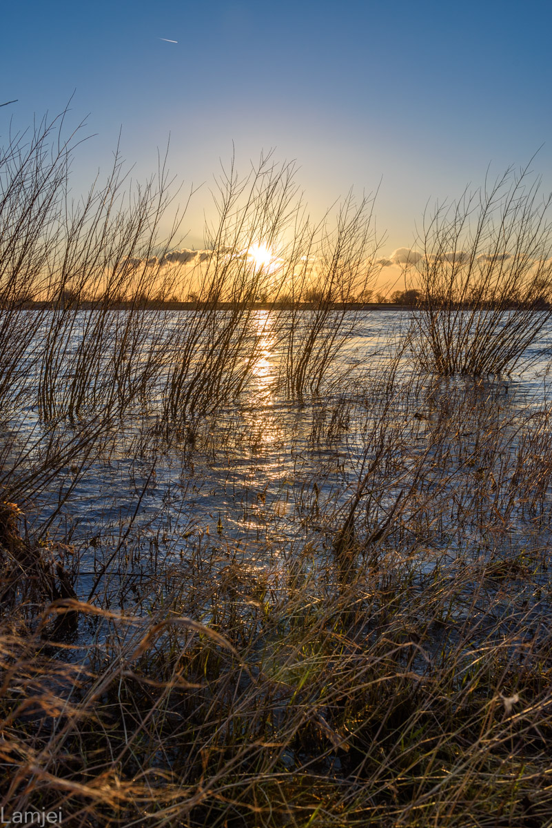 DSC_2251.jpg