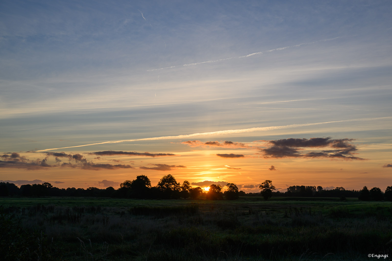 DSC_0554.jpg