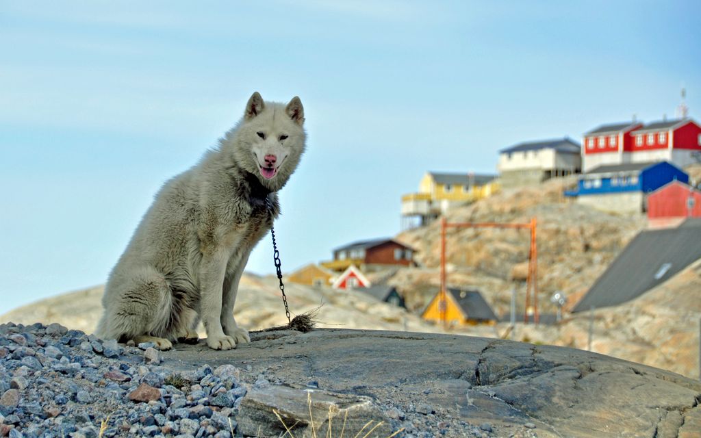 _dsc3037.jpg