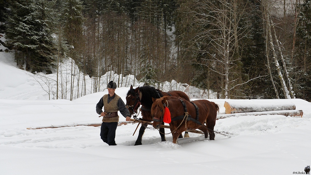 Pferdegespann im tiefen Schnee