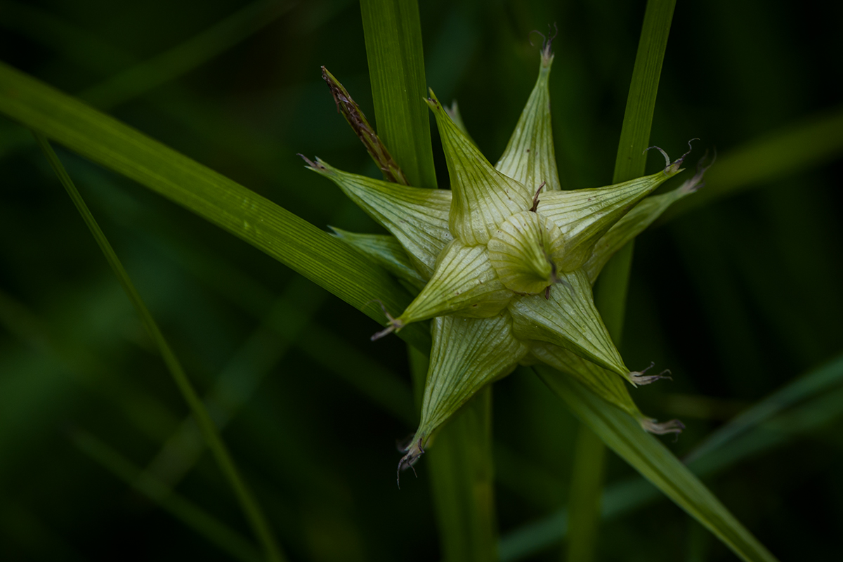 20220524_NZ7_1889NF.jpg