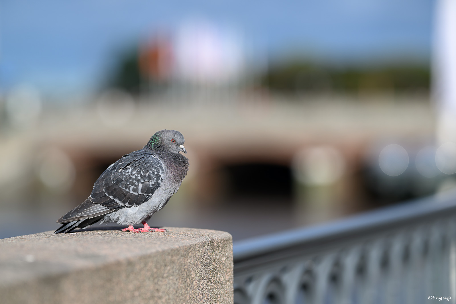 DSC_8893.jpg