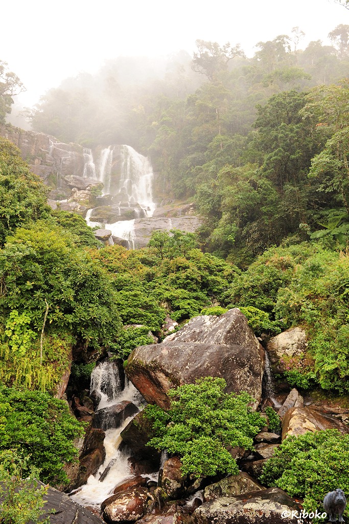 Das Bild zeigt einen Wasserfall ich Hochformat. Der Hauptfall ist weiter oben. Im Mittelteil verdeckt dichte Vegetation den Flusslauf. Im unteren Teil fällt das Wasser über kleinere Felsen. Ein großer Felsblock liegt im Wasser.