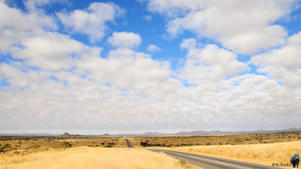 Eine geteerte Straße führt schnurgerade durch welliges, goldgelbes Grasland. Im Hintergrund sind Berge. Der Himmel ist mit kleinen weißen Wölkchen dekoriert.