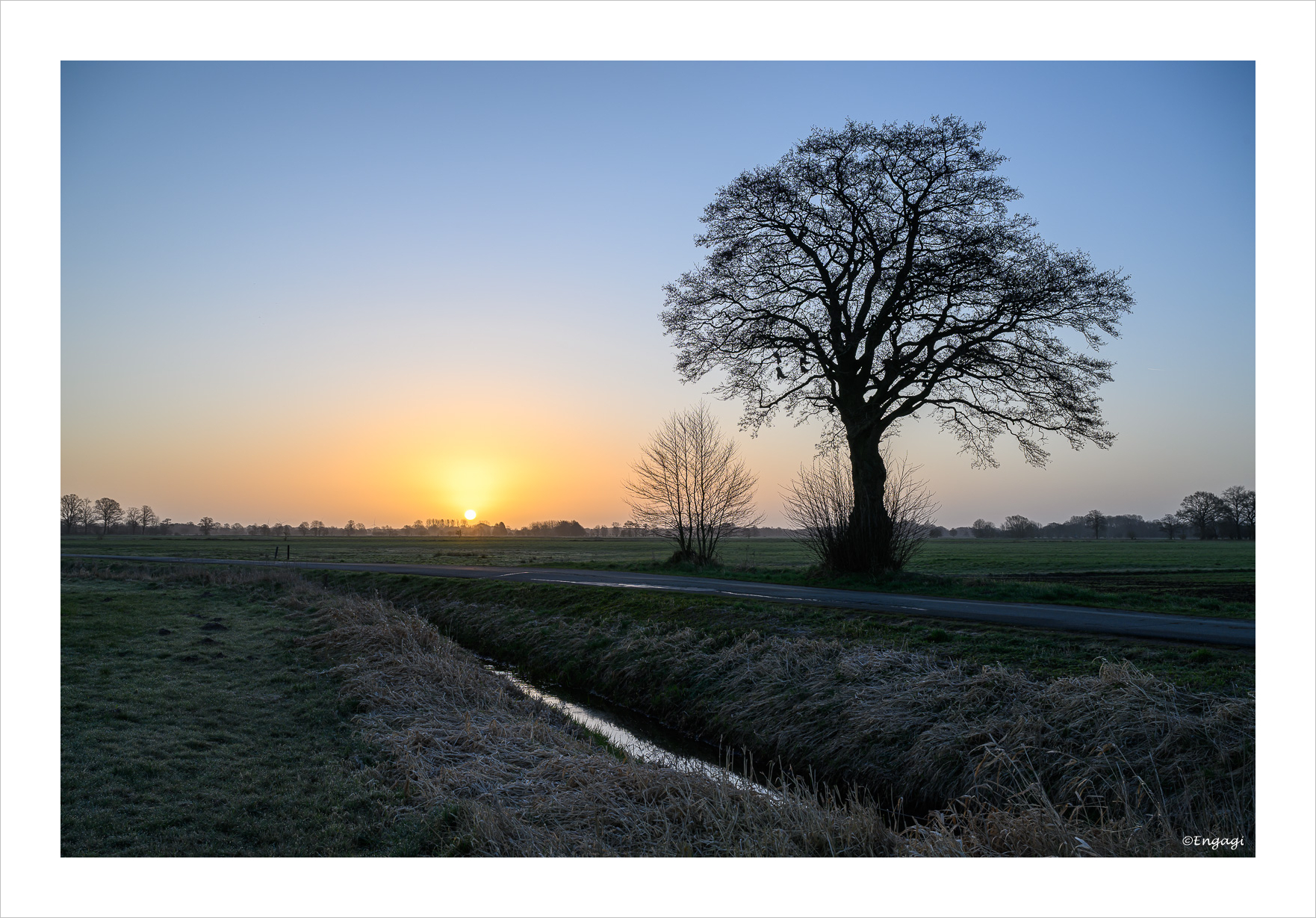 DSC_4788.jpg