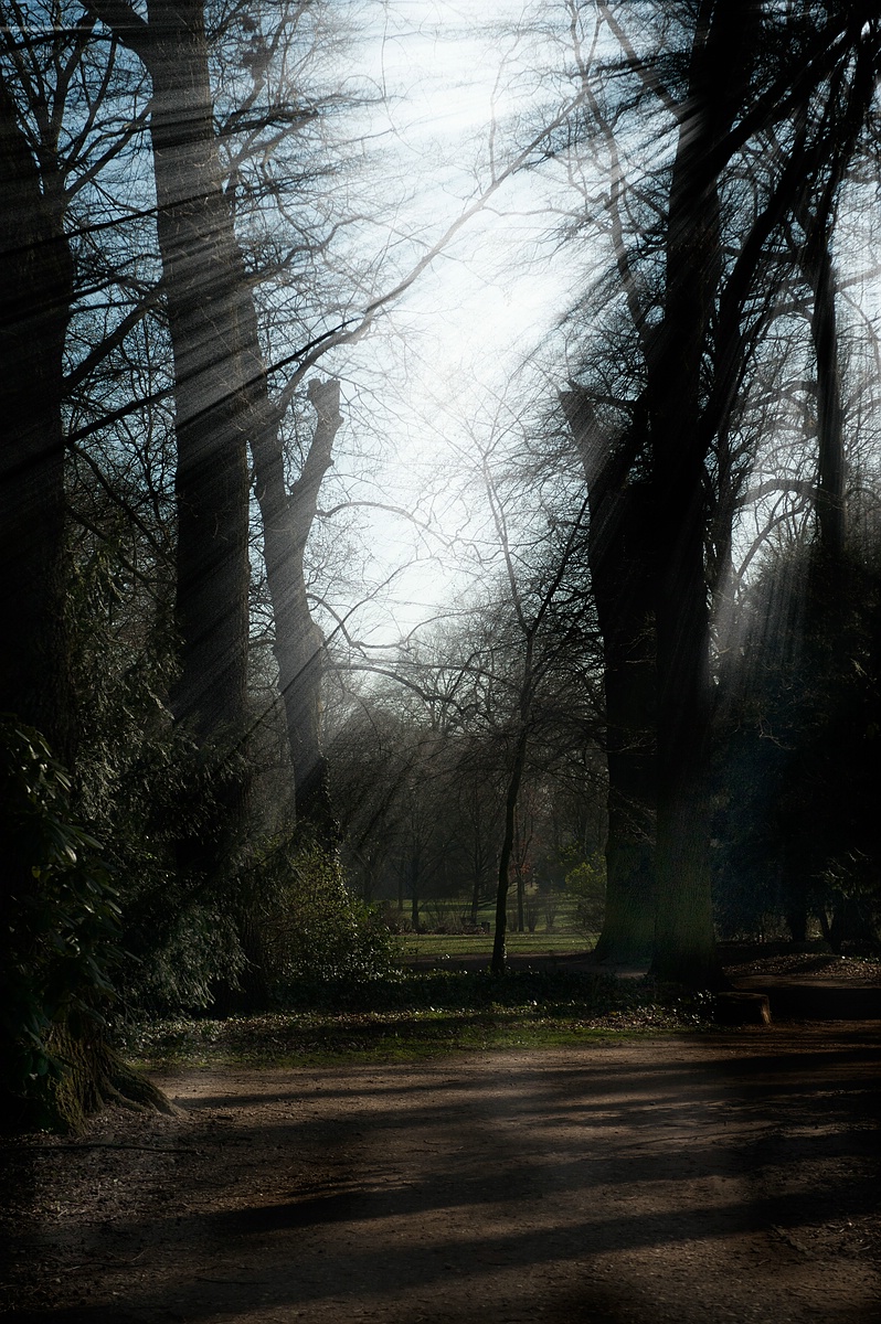 CK.R._DSC_0912.jpg